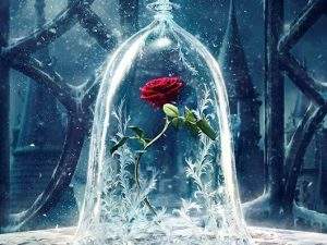Una rosa encerrada en una vasija de cristal en un ambiente sombrío.