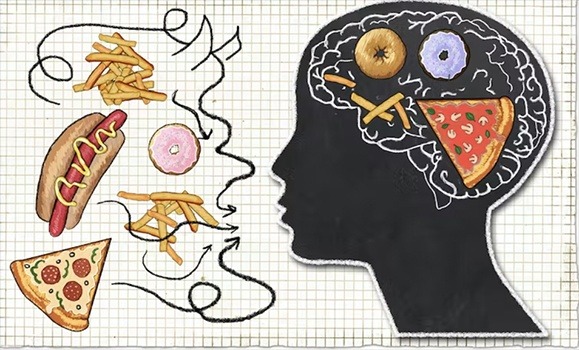 Dibujo de una cabeza humana, en su cerebro y delante de ella comida poco saludable, frankfurts, patatas fritas, bollos...