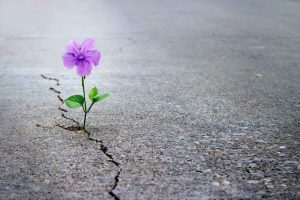 Reforzar la fuerza de voluntad