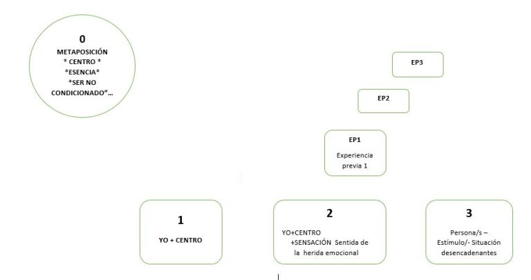 Procés de la teràpia de les ferides emocionals. 