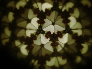 Forma hexagonal (flor o vidre microscòpic) que es reprodueix hologràficament amb un efecte caleidoscòpic