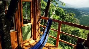 Respetar la naturaleza es respetar la vida. 
