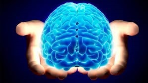 Un cervell a les mans, Metàfora de la profecia autocomplerta. 