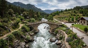 Un puente sobre un río turbulento que une dos franjas de un terreno fértil.  Una más agreste y la otra más ordenada. 