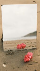 Un espejo refleja una rosa y el mar que está detrás de ella. Metáfora de cómo las caricias positivas pueden mostrar lo mejor de uno.  